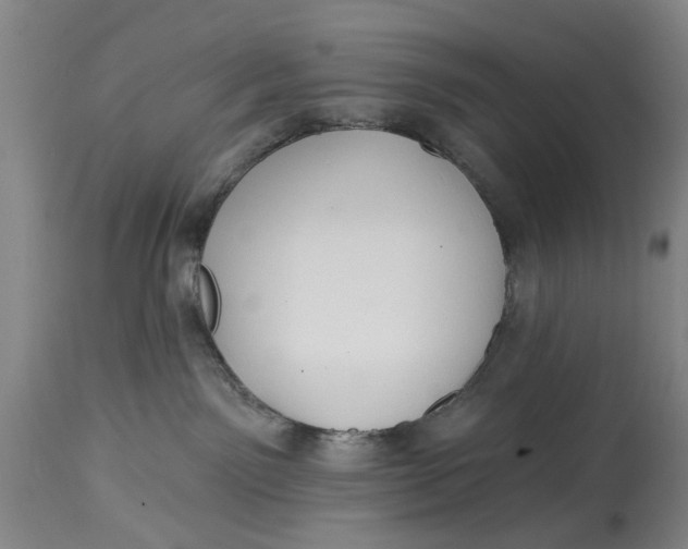 X0000115090141200911171226