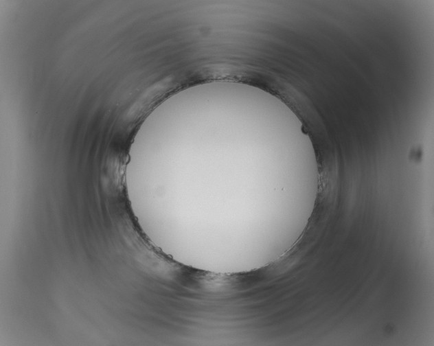 X0000115090142200911171226