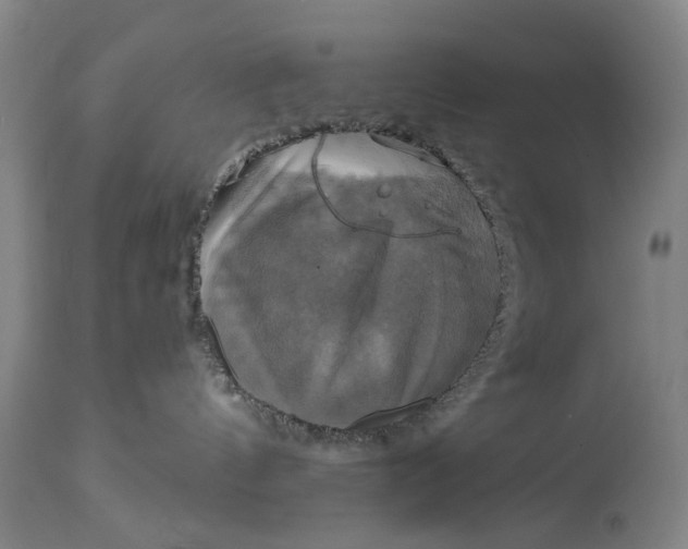 X0000115090144200911171226