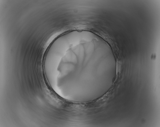 X0000115090147200911171225