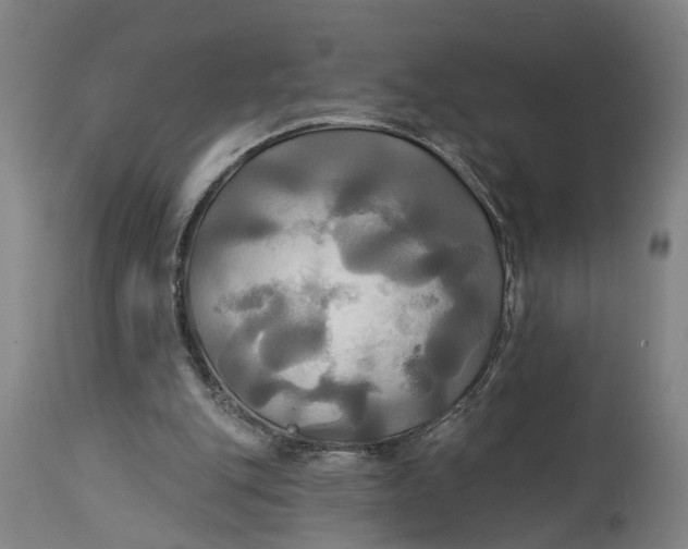 X0000115090151200911171225