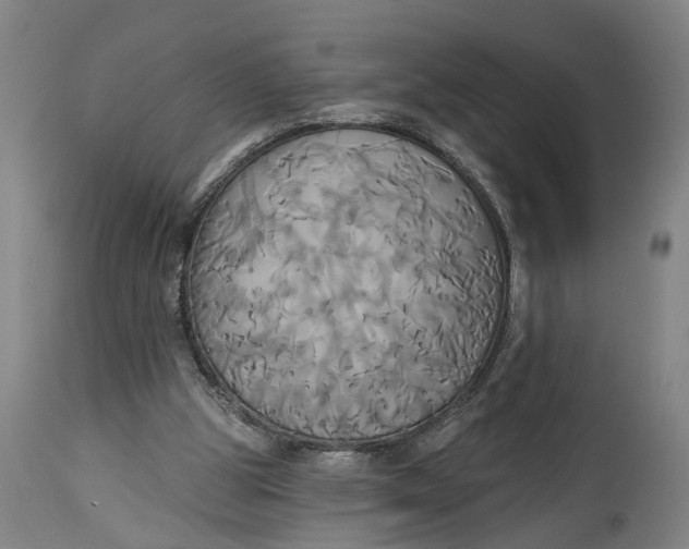 X0000115090153200911171225