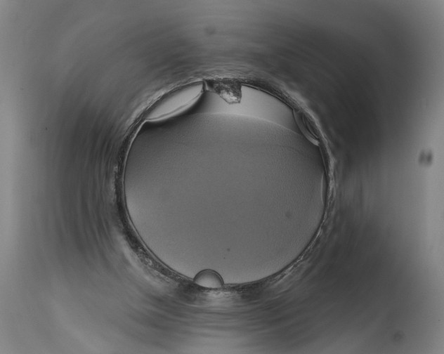 X0000115090154200911171225