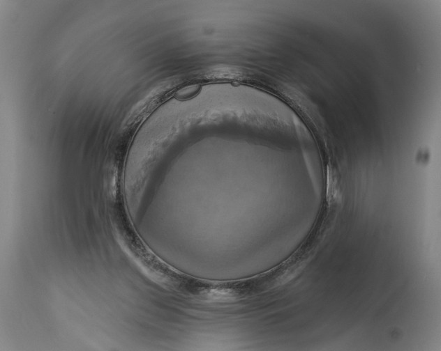 X0000115090157200911171225