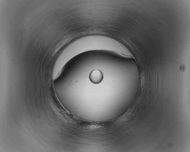X0000115090158200911171225