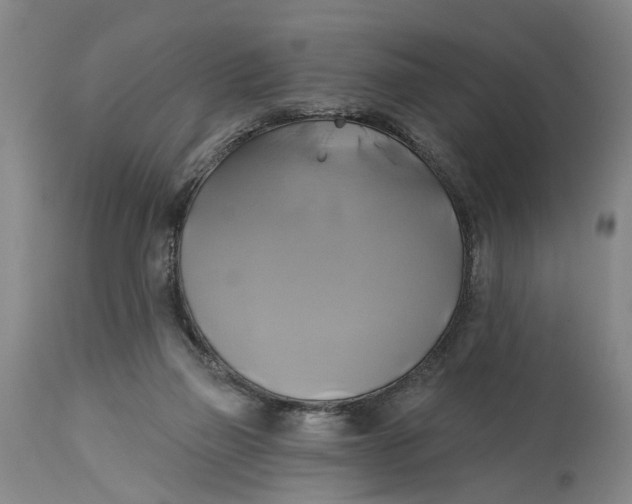 X0000115090165200911171225