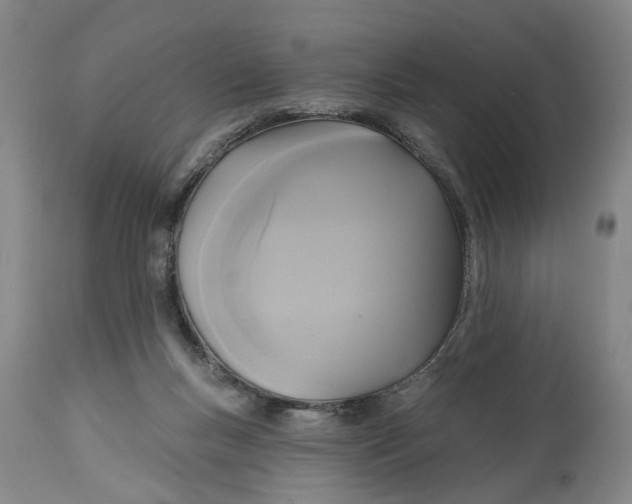 X0000115090167200911171225