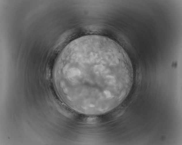 X0000115090173200911171225
