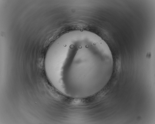 X0000115090177200911171225