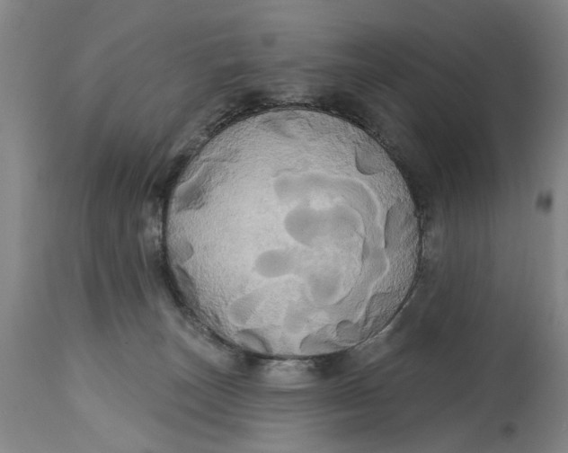 X0000115090179200911171225