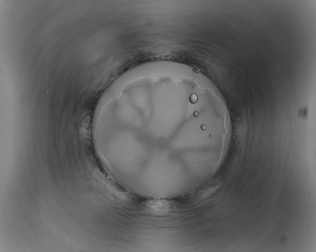 X0000115090181200911171225