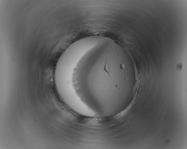 X0000115090182200911171225