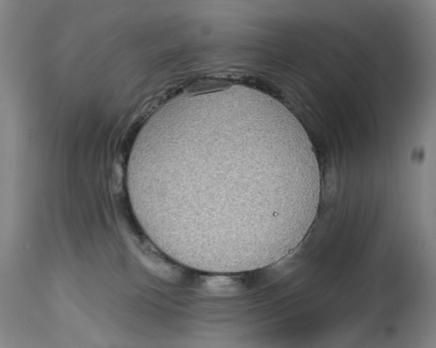 X0000115090183200911171225