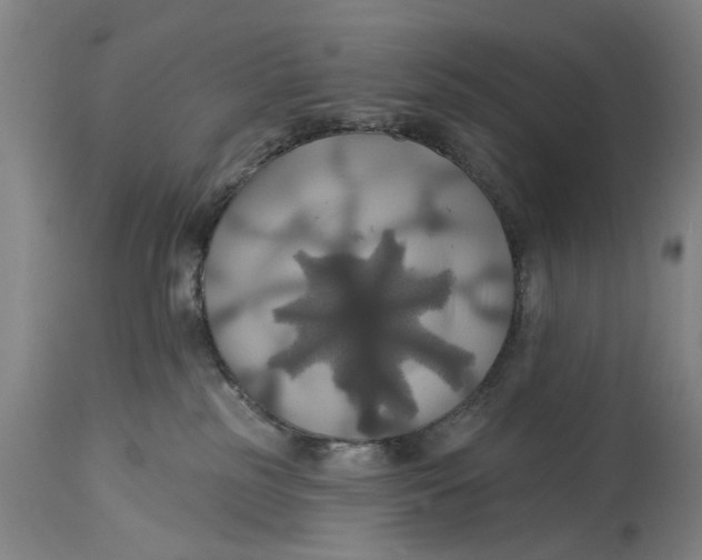 X0000115090185200911171226