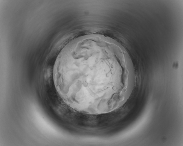 X0000115090191200911171226