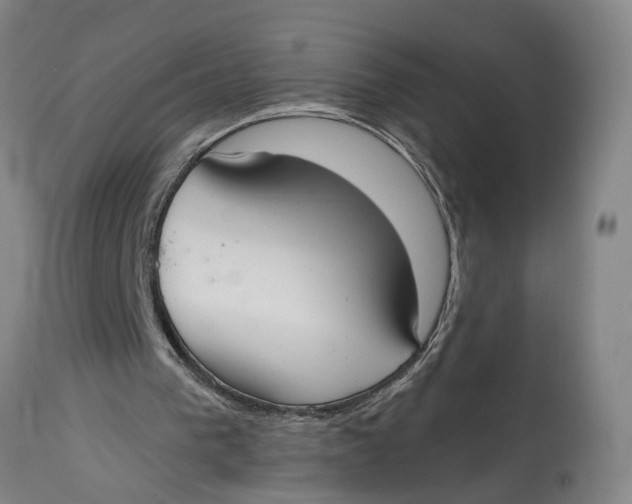 X0000115090193200911171225