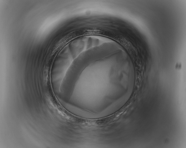 X0000115090194200911171225
