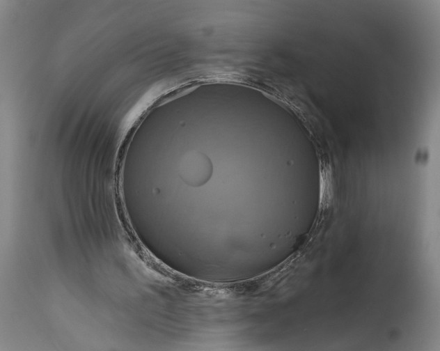 X0000115090195200911171225