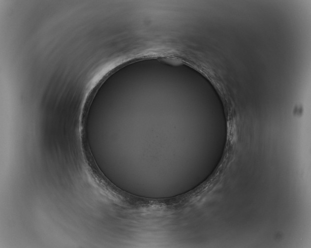 X0000115090196200911171225