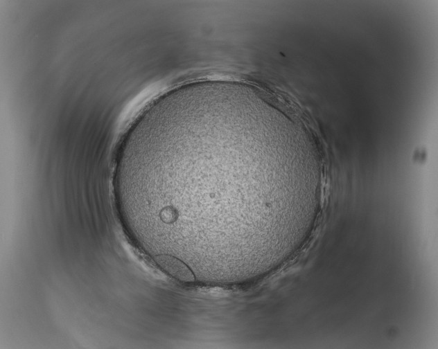 X0000115090197200911171225