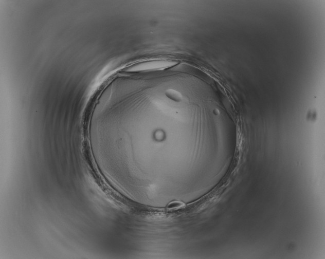X0000115090198200911171225