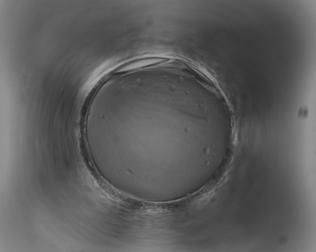 X0000115090199200911171225