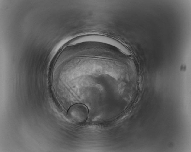 X0000115090200200911171225