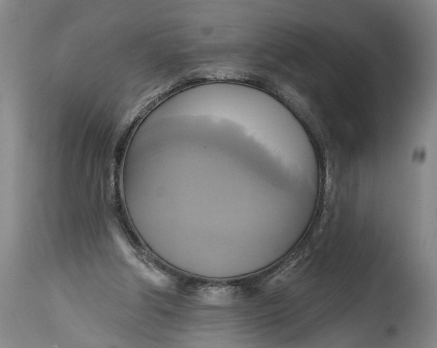 X0000115090202200911171225