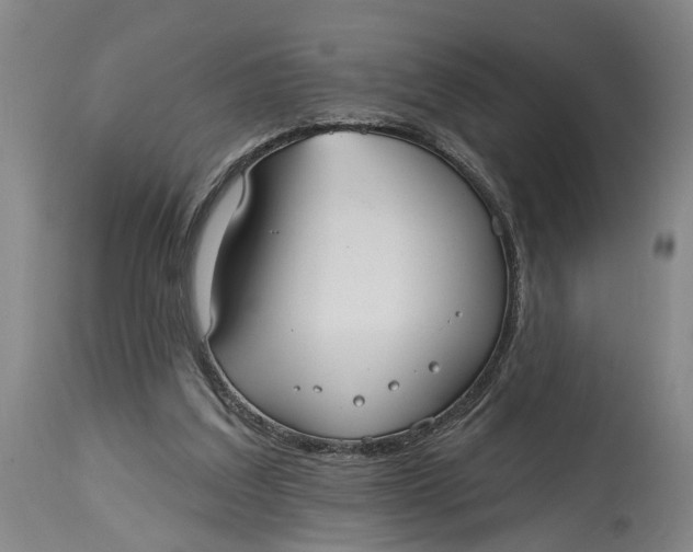X0000115090203200911171225