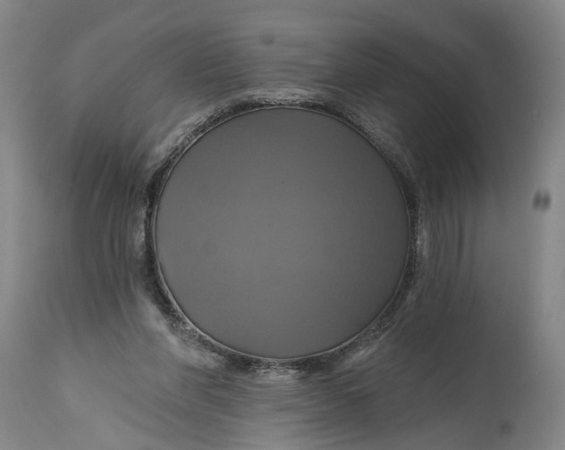 X0000115090206200911171225