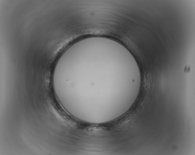 X0000115090208200911171225