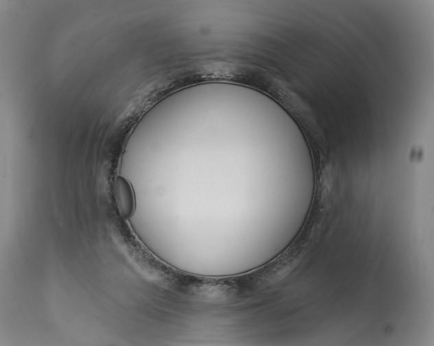 X0000115090209200911171225