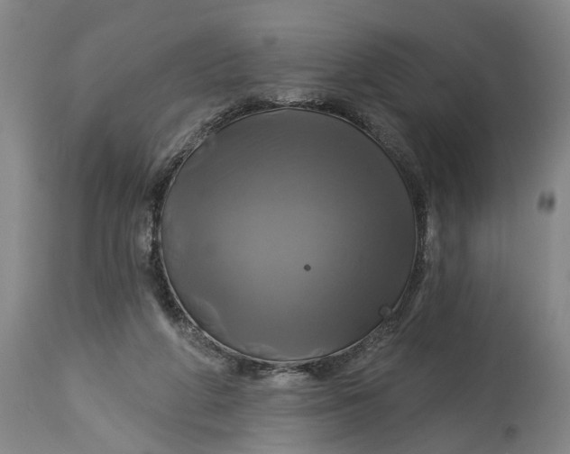 X0000115090210200911171225