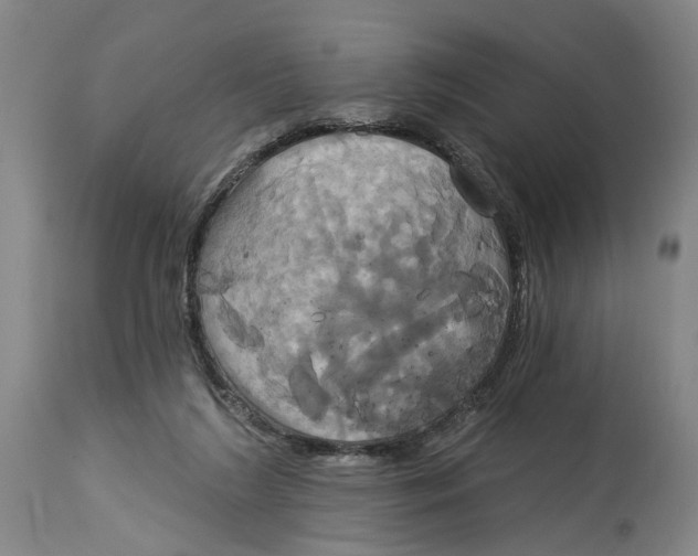 X0000115090212200911171225