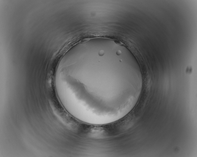X0000115090214200911171225