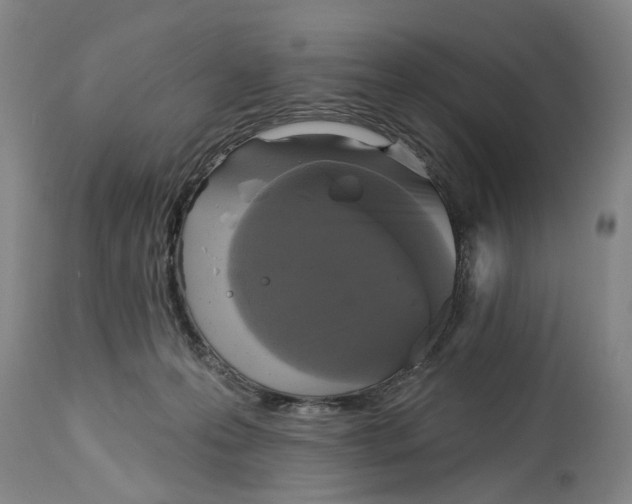 X0000115090223200911171225