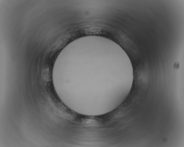 X0000115090224200911171225