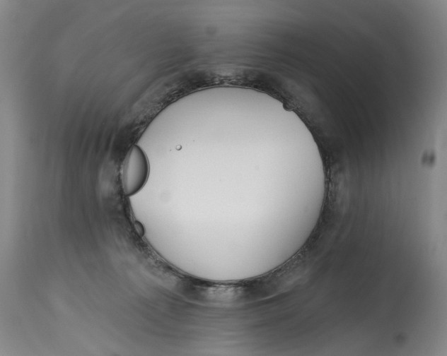 X0000115090225200911171225