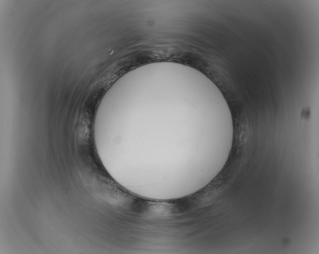 X0000115090226200911171224