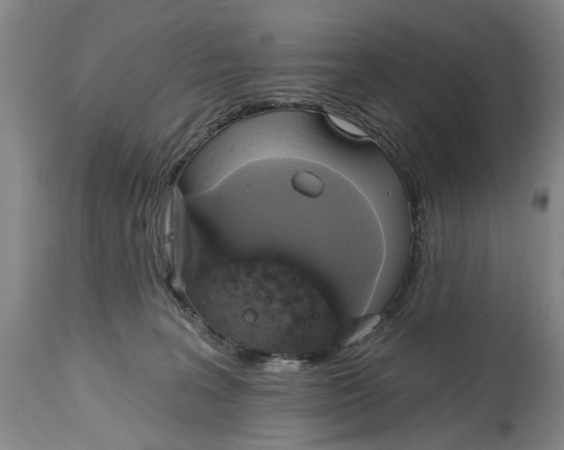 X0000115090227200911171224