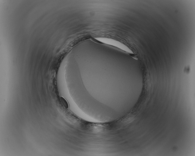 X0000115090229200911171224