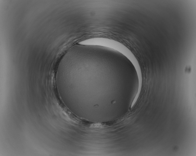 X0000115090231200911171224