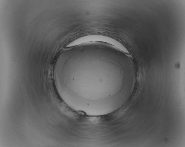 X0000115090233200911171224