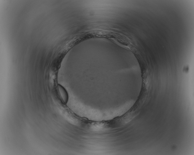 X0000115090235200911171224