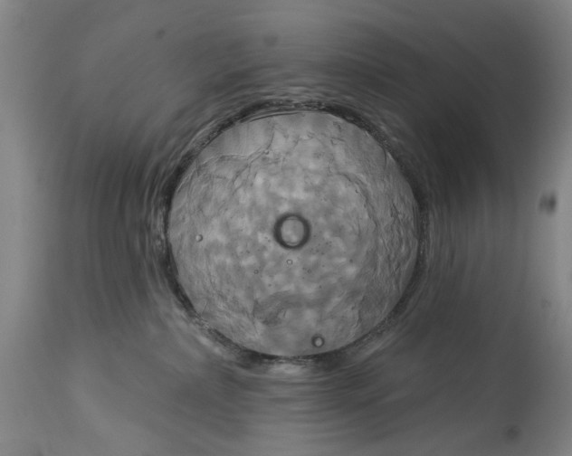 X0000115090236200911171224
