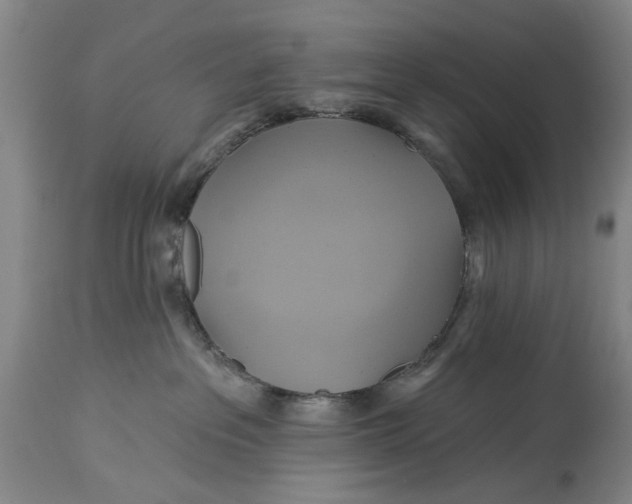 X0000115090237200911171224