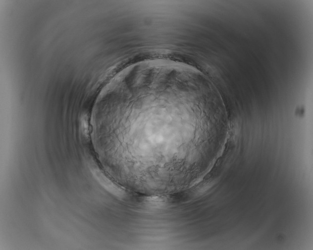 X0000115090238200911171224