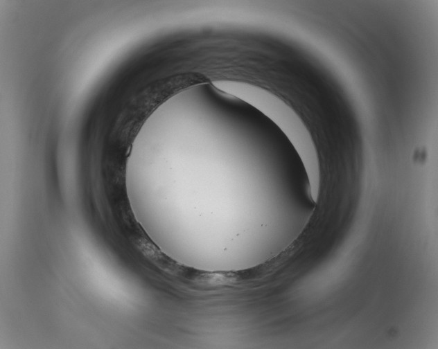 X0000115090239200911171224