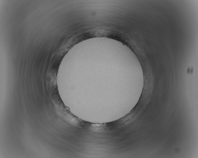 X0000115090240200911171224