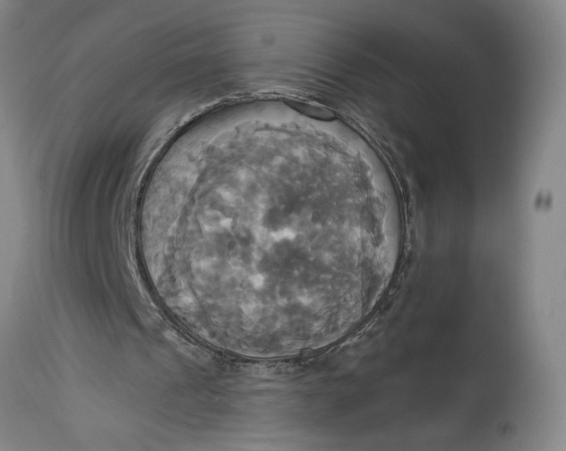 X0000115090241200911171224